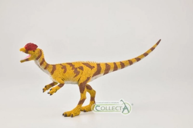 CollectA Dilophosaurus Model