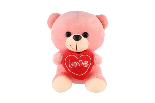 Plush Bear with Heart 19cm