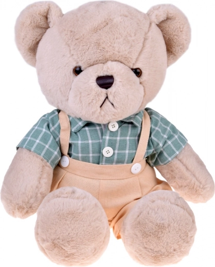 Camicia elegante a quadri rétro