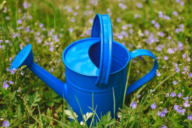 Child's Metal Watering Can - Blue