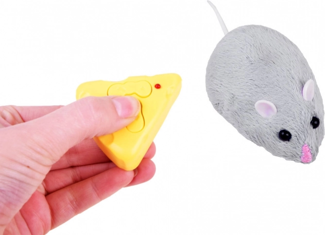 Divertissement interactif pour chats et enfants