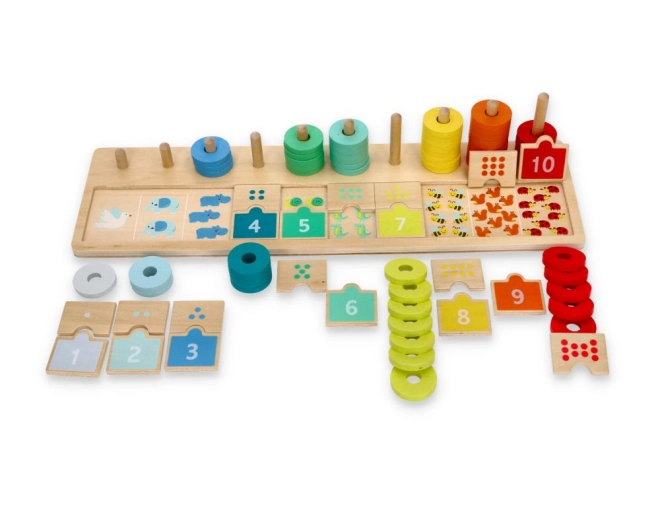 Color sorting and number matching