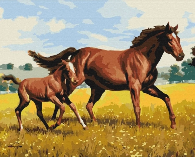 Family Gallop Paint by Numbers Kit