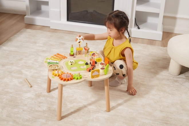 Wooden Activity Table