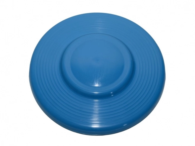 Flying Disc Plastic 23cm Assorted Colors