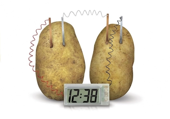 Creative Science Experiment Eco Clock from Potato