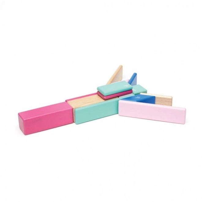 Magnetic Building Blocks Tegu Blossom Set