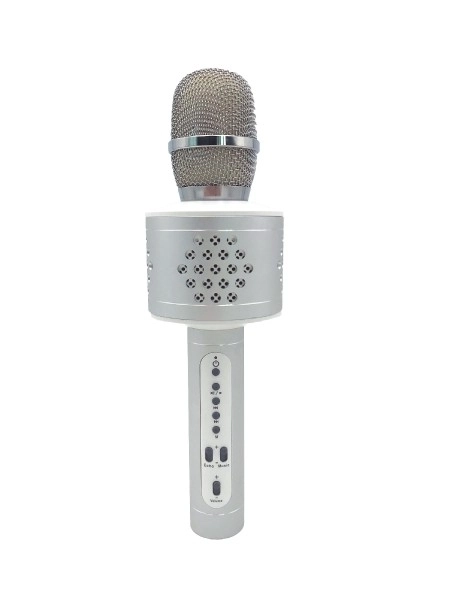 Bluetooth Karaoke Microphone Silver – Gold