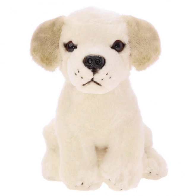 Plush Labrador Dog Soft Toy