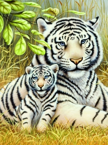 Paint by Numbers White Tigers Set