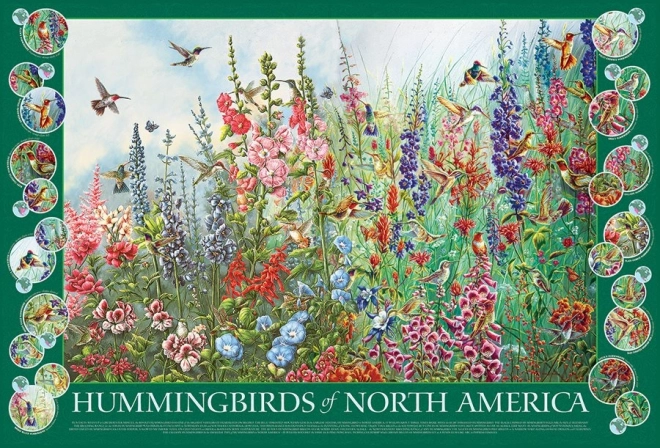 Hummingbirds of North America Puzzle 2000 Pieces