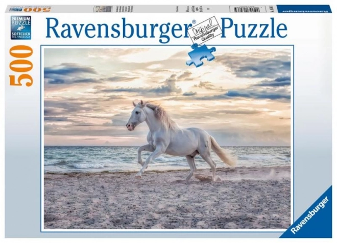 Evening Gallop Puzzle