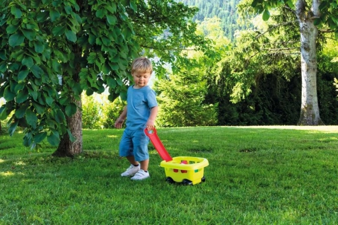 Garden Cart with Bucket and Accessories