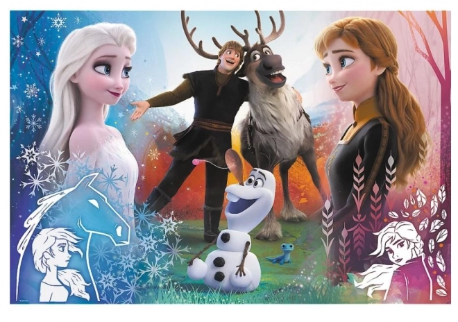 Frozen 2 Magical Time Puzzle 300 Pieces