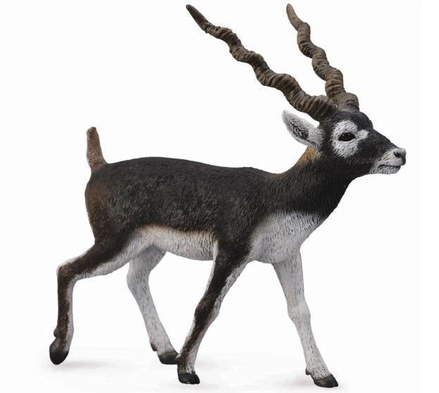 Collecta Antelope Gazelle Figure