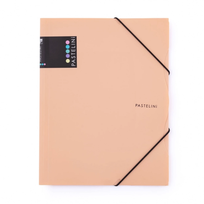 Folder with Elastic Band A4 PP Pastelini Apricot