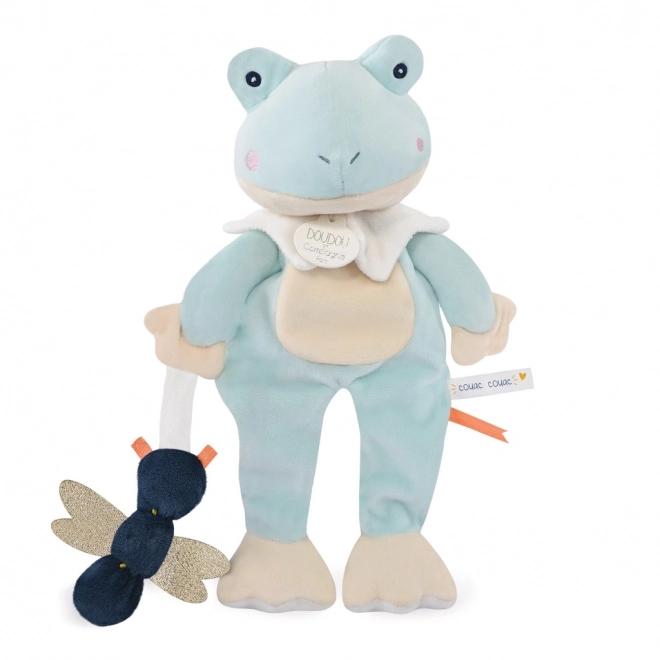 Plush Frog Toy Gift Set