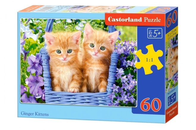 Ginger Kittens Puzzle for Kids