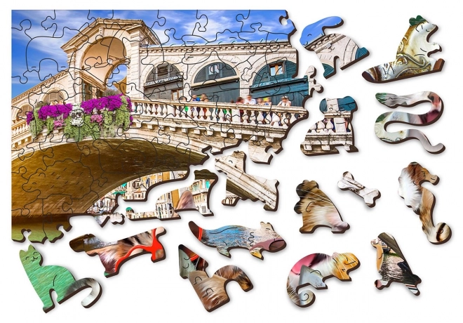 Wooden Puzzle Kittens in Venice 2-in-1