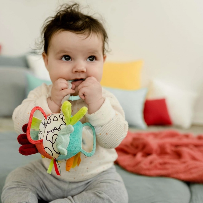 Colorful Sensory Ball Rattle