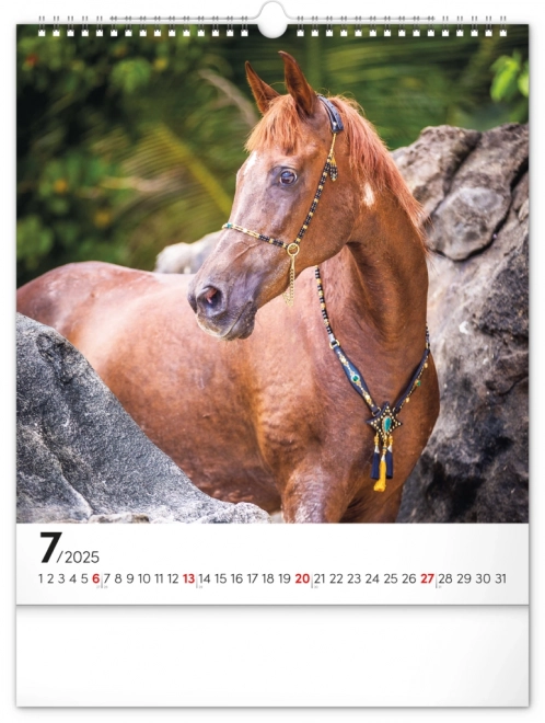 Wall Calendar Horses 2025