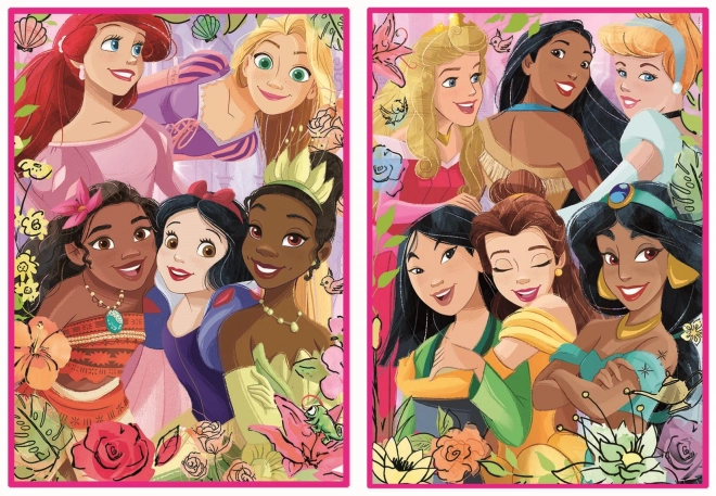 Educa Puzzle Disney Princesses 2x500 Pieces