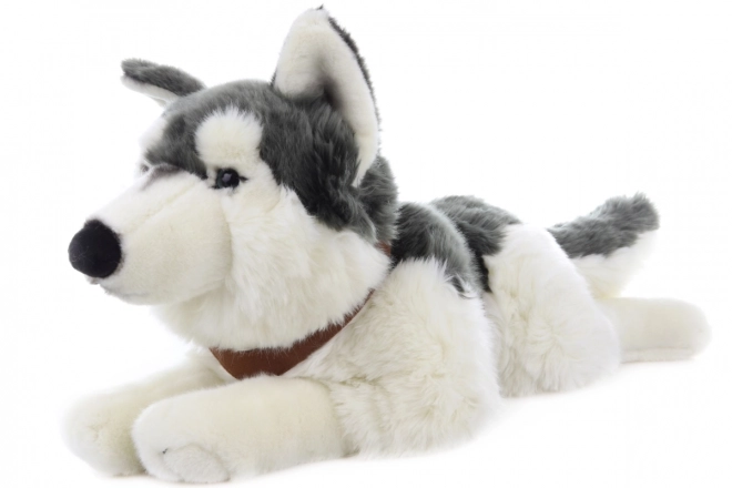 Large Plush Husky Dog