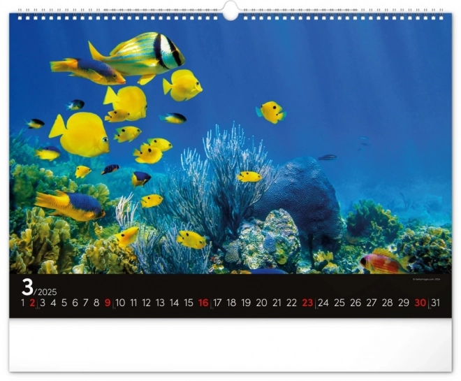 Wall Calendar Ocean 2025