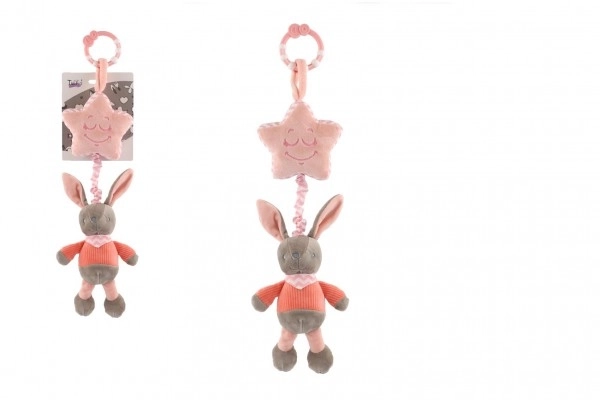 Musical Bunny Plush Toy