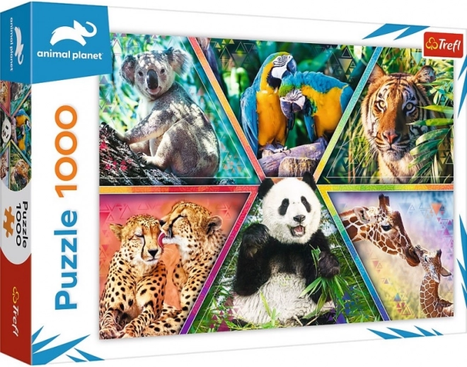 Licence officielle ANIMAL PLANET