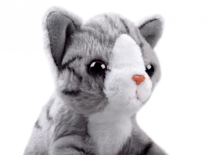 Stuffed Toy Cat Sitting