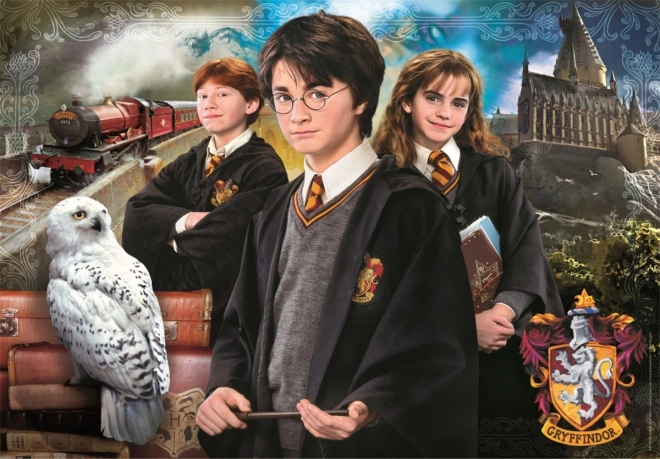 Harry Potter 1000 Piece Puzzle