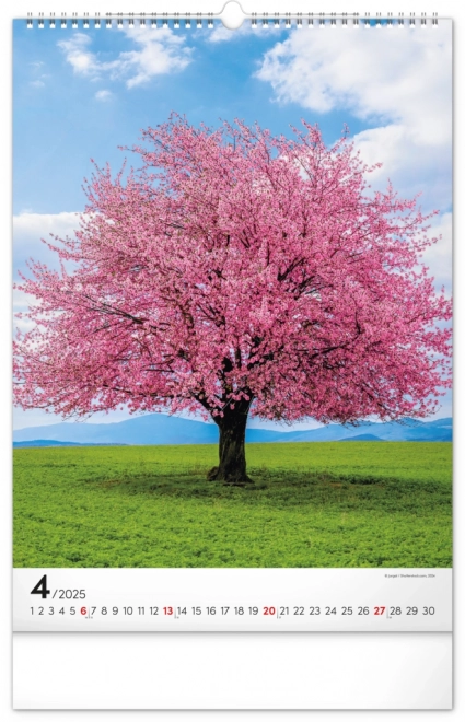 Wall Calendar Trees 2025