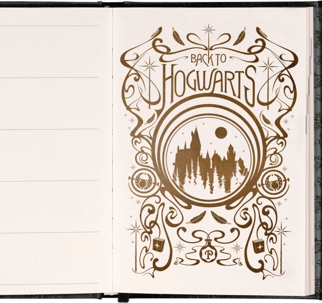 Weekly Magnetic Diary Harry Potter Lumos 2026, 11 x 16 cm
