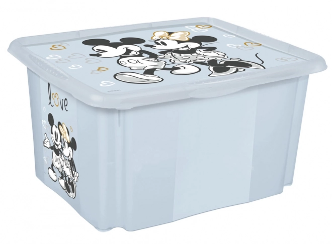 Small Storage Box with Lid Mickey