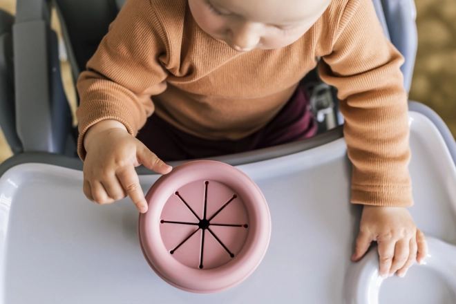 Silicone Snack Bowl with Suction, Old Pink