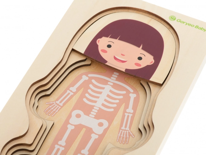 Educational Wooden Body Construction Puzzle Montessori for Girls