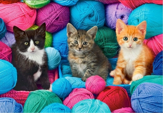 Castorland Puzzle Kittens in Yarn Shop 1000 Pieces