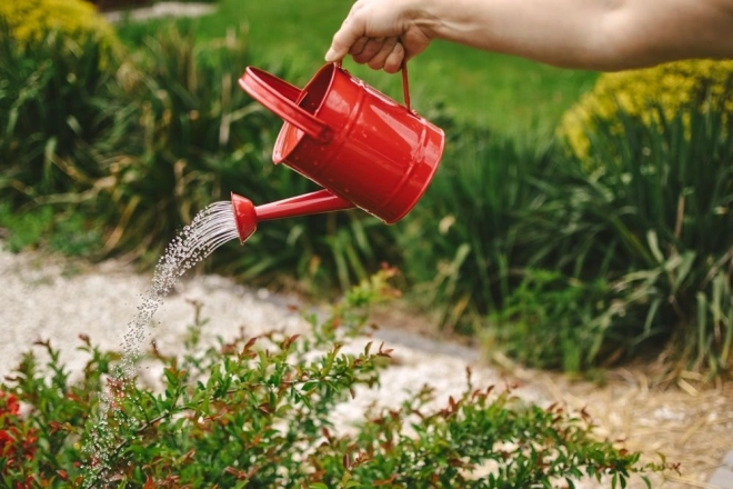 Garden Toy - Red Metal Watering Can