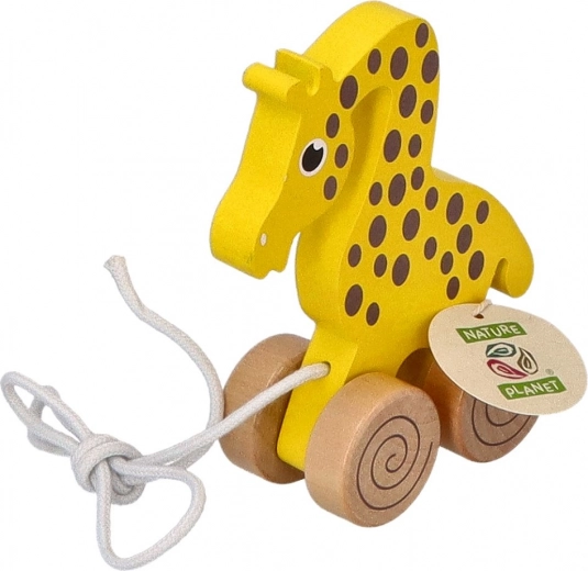 Praktikus 60 cm-es zsinór