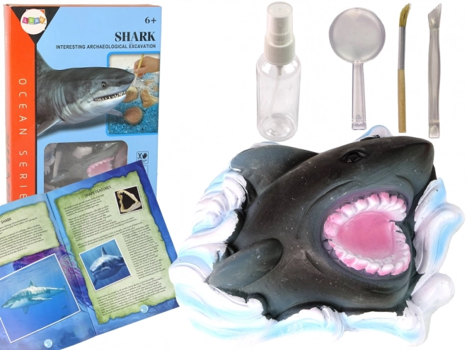 Educational Fossil Digging Set Shark Ammonites