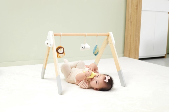 Wooden Baby Gym With Toys