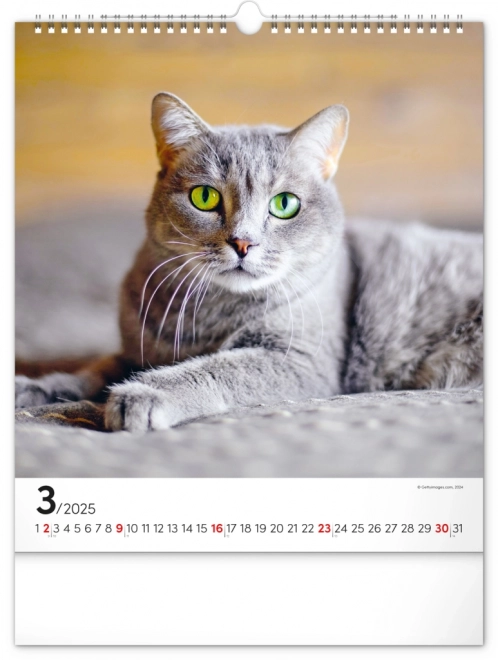 Wall Calendar Cats 2025