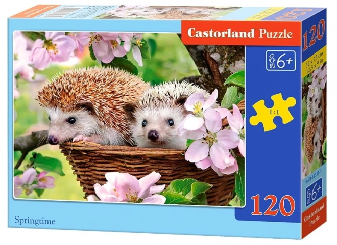 Springtime Puzzle for Kids