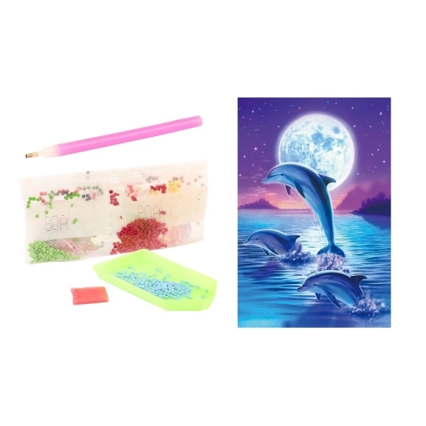 Diamond Painting Set with Accessories