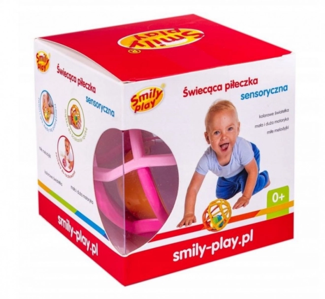 Sensory Light-Up Rattle Ball