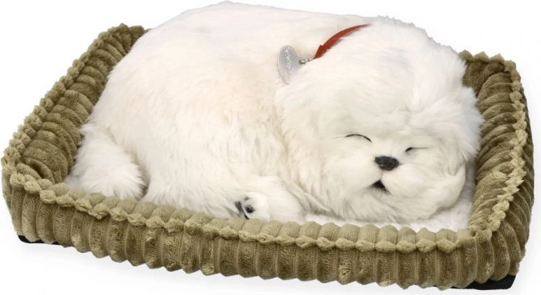 Realistic sleeping pet
