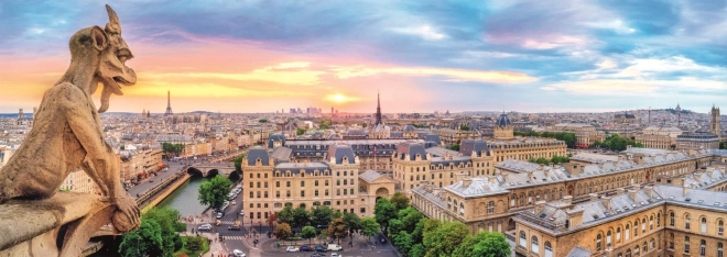 Panoramic Puzzle Notre-Dame Cathedral View