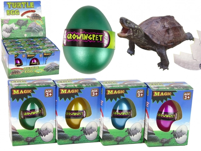 Hatching Magic Turtle Egg Growing Toy