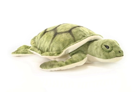 Plush Turtle Toy